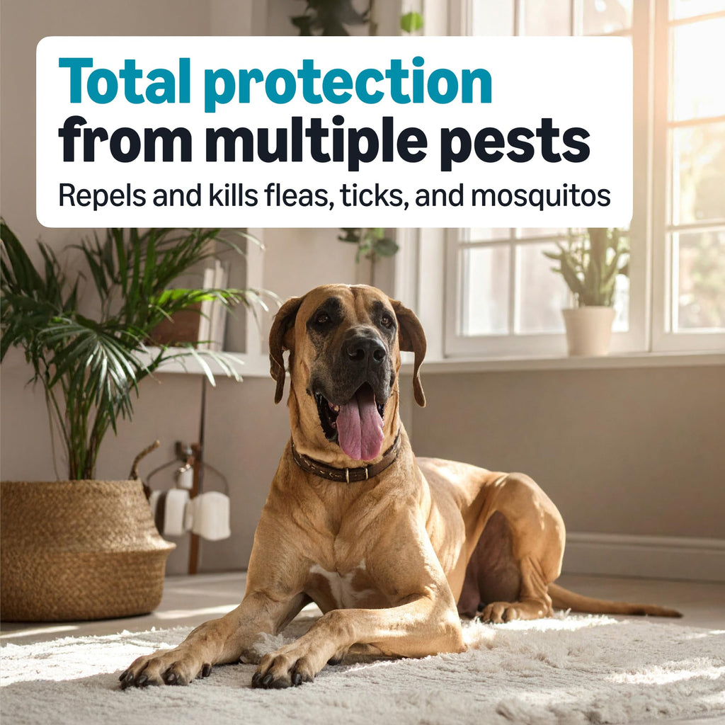 Flea, Tick & Mosquito Topical Treatment for X-Large Dogs, 6 Count P72990