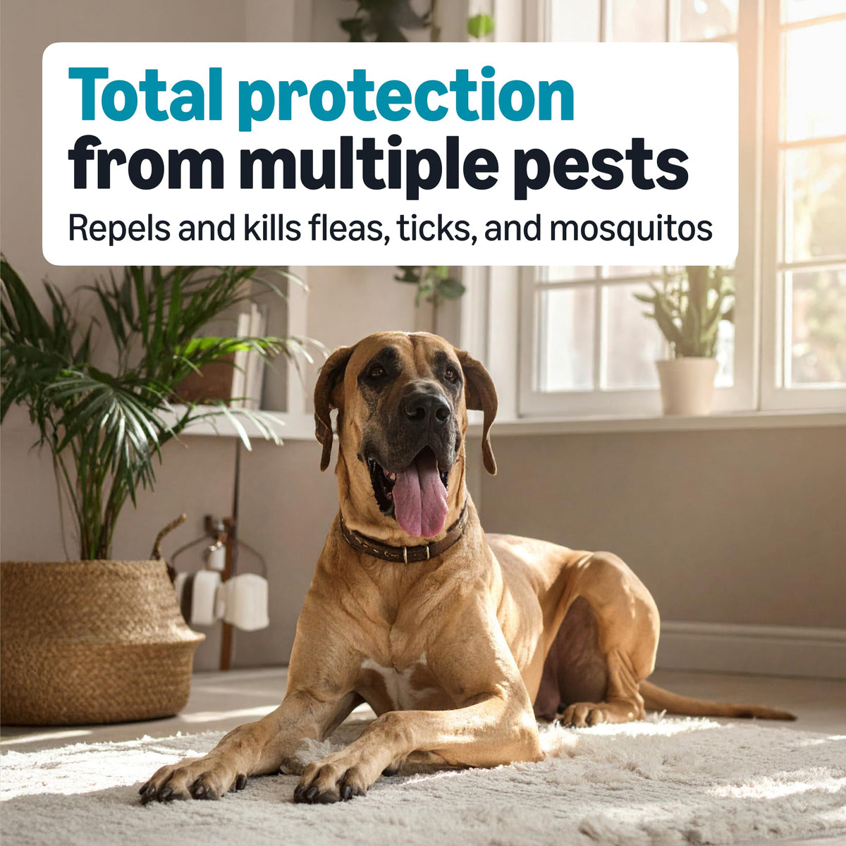Flea, Tick & Mosquito Topical Treatment for X-Large Dogs, 6 Count P72990