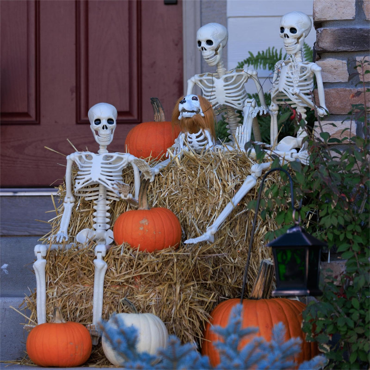 6 Pack Halloween Skeletons 3 5.4ft 3 3ft Q726