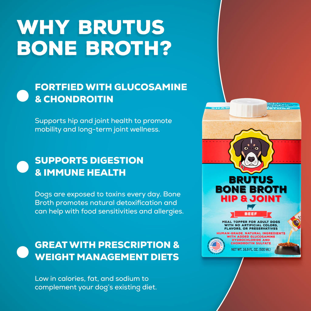 Bone Broth for Dogs with Chondroitin Glucosamine Turmeric 16.9oz Pack of 6 V676108