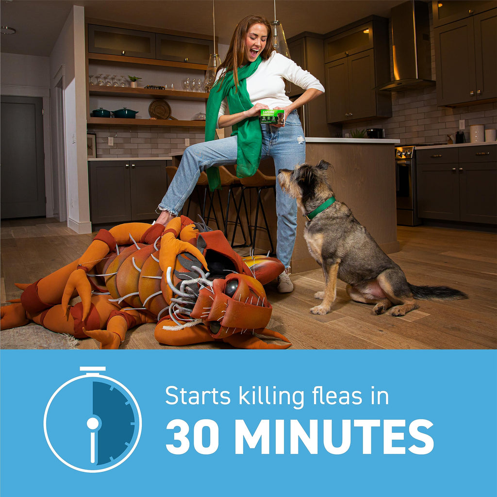Flea and Tick Prevention for Small Dogs 6 Doses D207